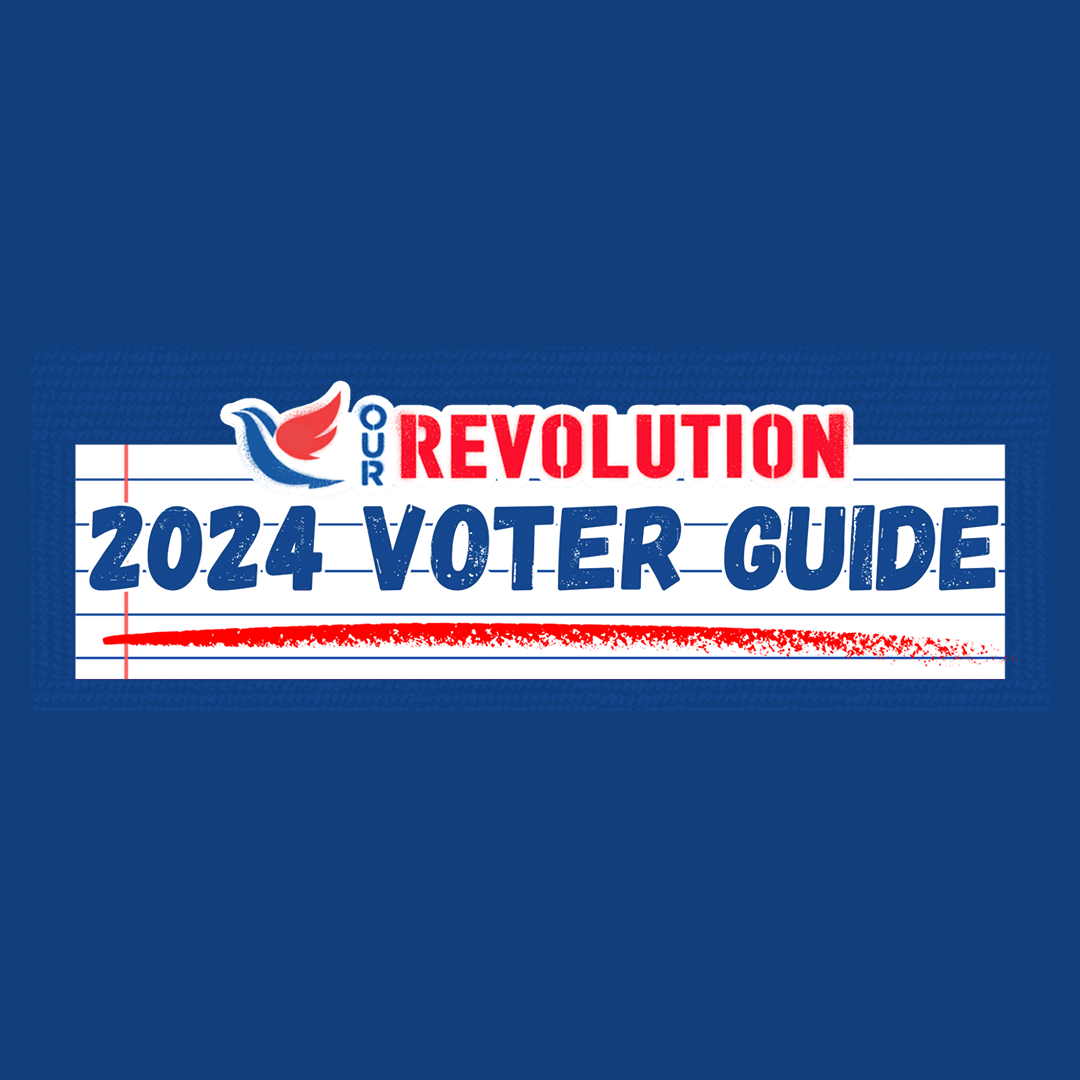 Conservative Voter Guide 2024 California Lonee Roseline